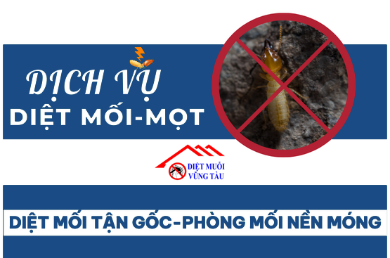 Dịch vụ diệt mối